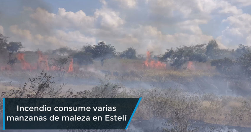 Incendio forestal consume varias manzanas de maleza y zona de bosque