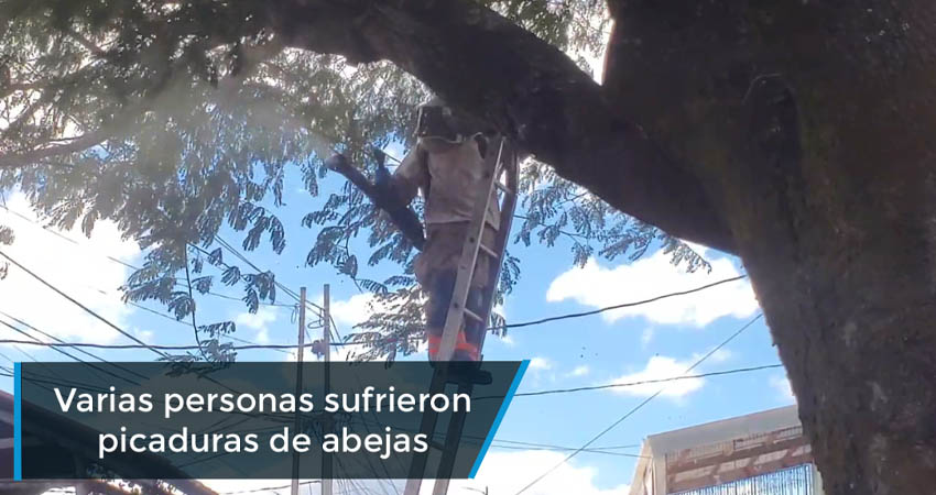 Decenas de personas sufren picaduras de un enjambre de abejas en barrio esteliano