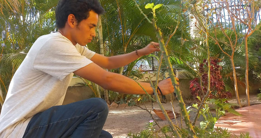 Josué Vázquez, experto en jardinería. Foto: Famnuel Úbeda/Radio ABC Stereo
