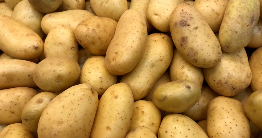 Incremente el costo de la libra de papa en mercado de Estelí. Foto: Imagen de referencia
