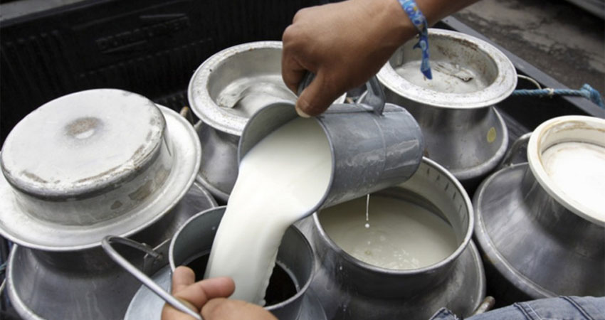 El queso sigue costando entre 80 y 101 córdobas en Estelí. Imagen de referencia
