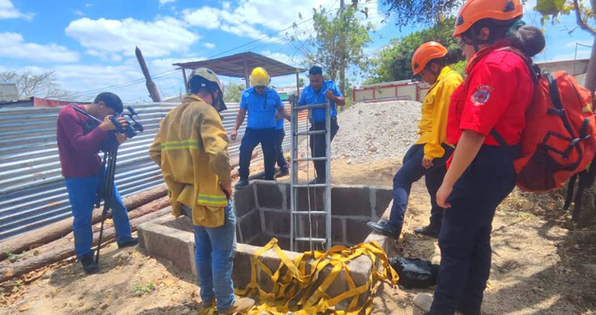 Los bomberos emplearon técnicas de rescate para evitarle daños al equino. Foto: Cortesía/Radio ABC Stereo