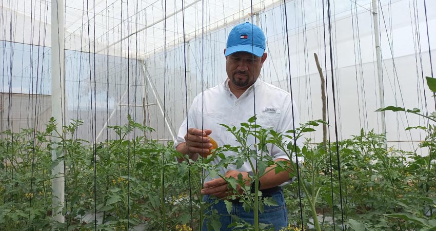Los productos son comercializados a través de una corporación multinacional. Foto: Famnuel Úbeda/Radio ABC Stereo