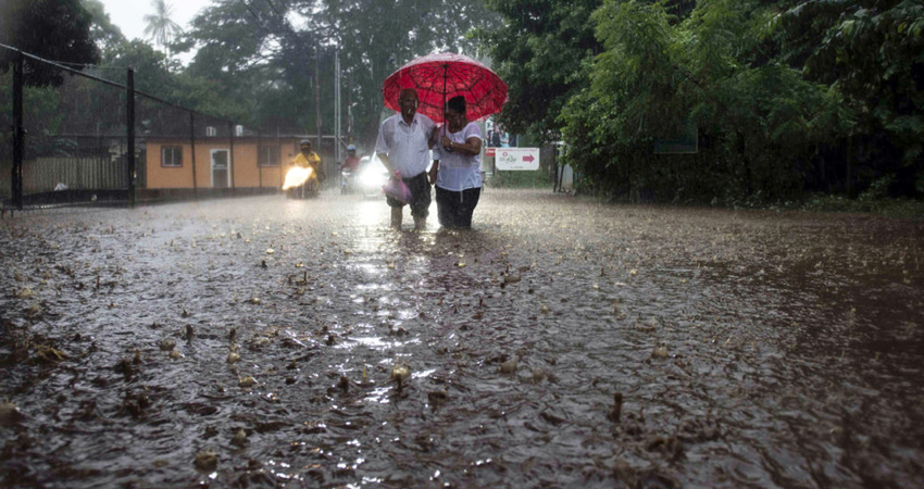 Los municipios del norte No escaparon de las intensas y constantes lluvias. Algunos productores reportan daños en los cultivos.