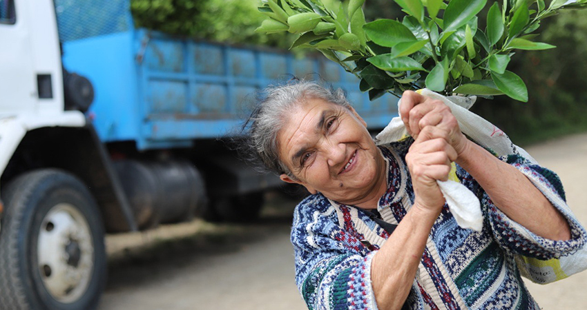 Seis cuencas serán reforestadas con apoyo de los comunitarios. Foto: Famnuel Úbeda/Radio ABC Stereo