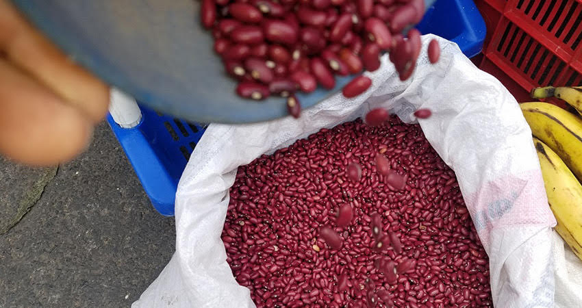 Actualmente algunos productores han conseguido vender el quintal en 1,300 córdobas. Foto: Archivo/Radio ABC Stereo