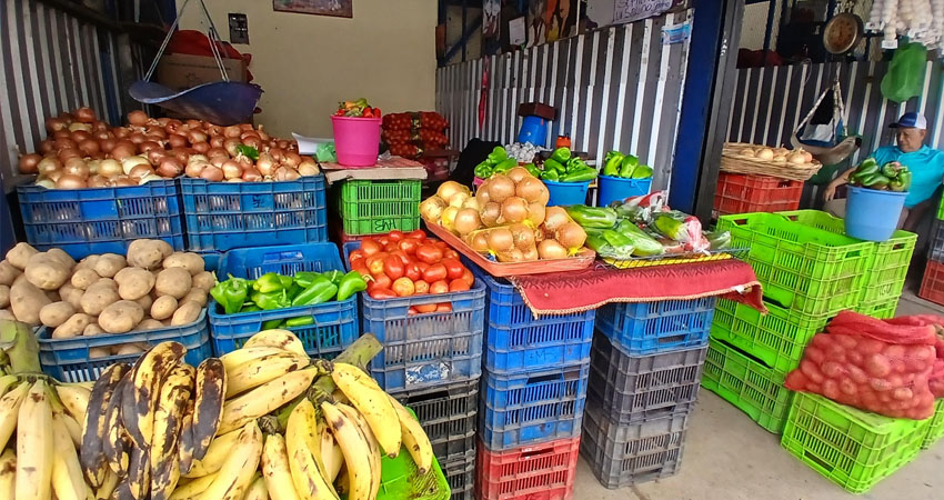 En el mercado Alfredo Lazo, comerciantes reportaron un alza en el precio de la cebolla, que pasó de 15 a 25 córdobas por libra.