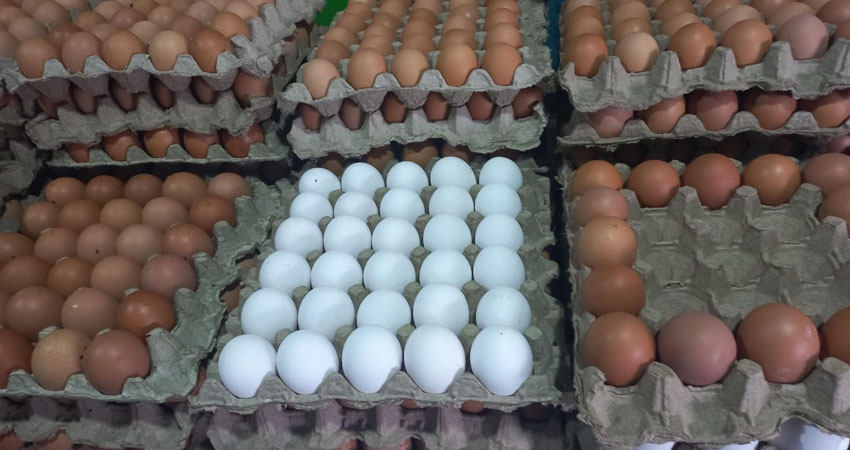 Consideran que el precio justo por cajilla es de 160 córdobas. Foto: Famnuel Úbeda/Radio ABC Stereo